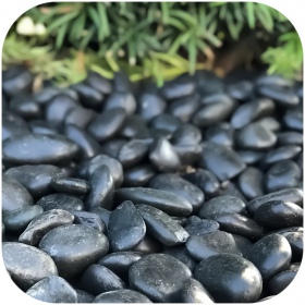 Eco Plant Devil Stones 1kg - Black Pebbles